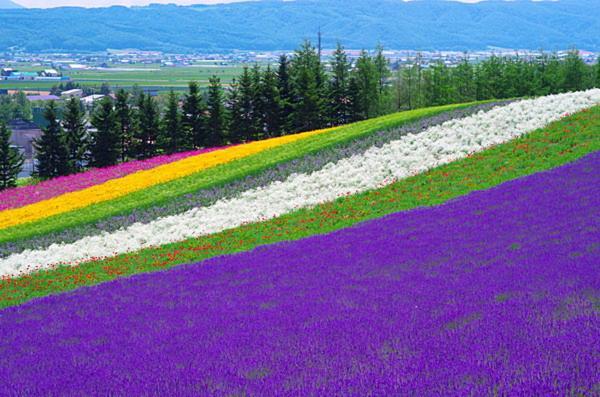 ふる郷荘furusato Nakafurano Exteriér fotografie
